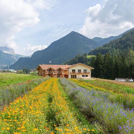 Eco-Green Fiores Agriturismo Виго ди Фаса Екстериор снимка