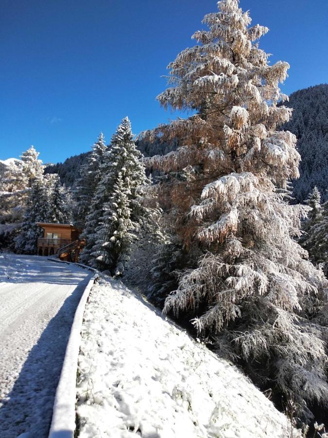 Eco-Green Fiores Agriturismo Виго ди Фаса Екстериор снимка
