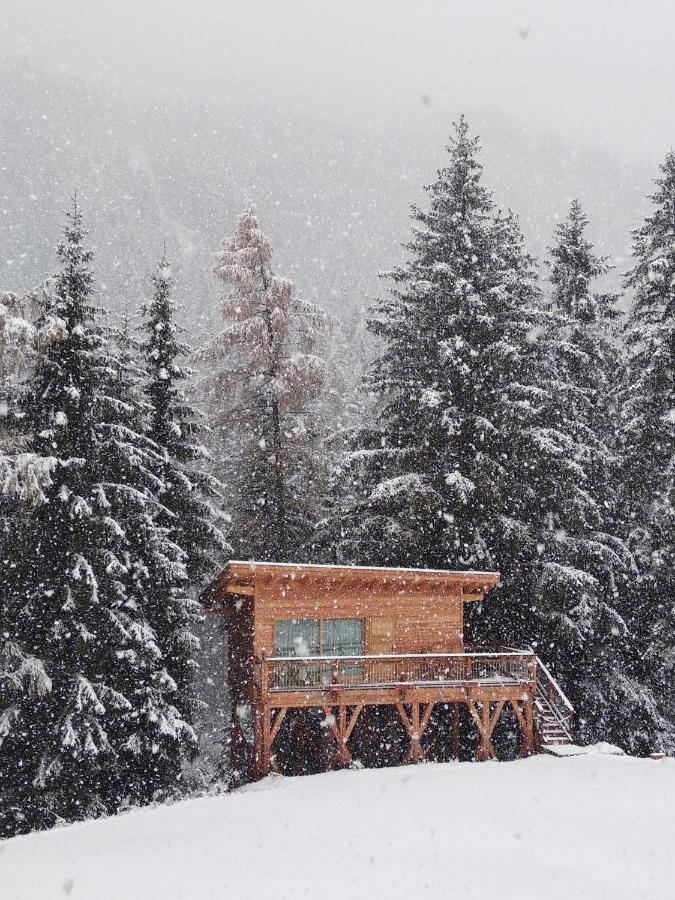 Eco-Green Fiores Agriturismo Виго ди Фаса Екстериор снимка