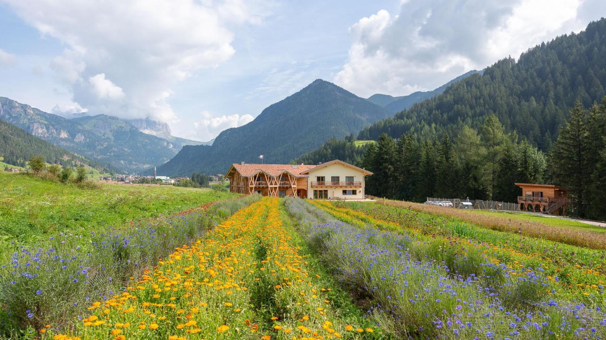 Eco-Green Fiores Agriturismo Виго ди Фаса Екстериор снимка